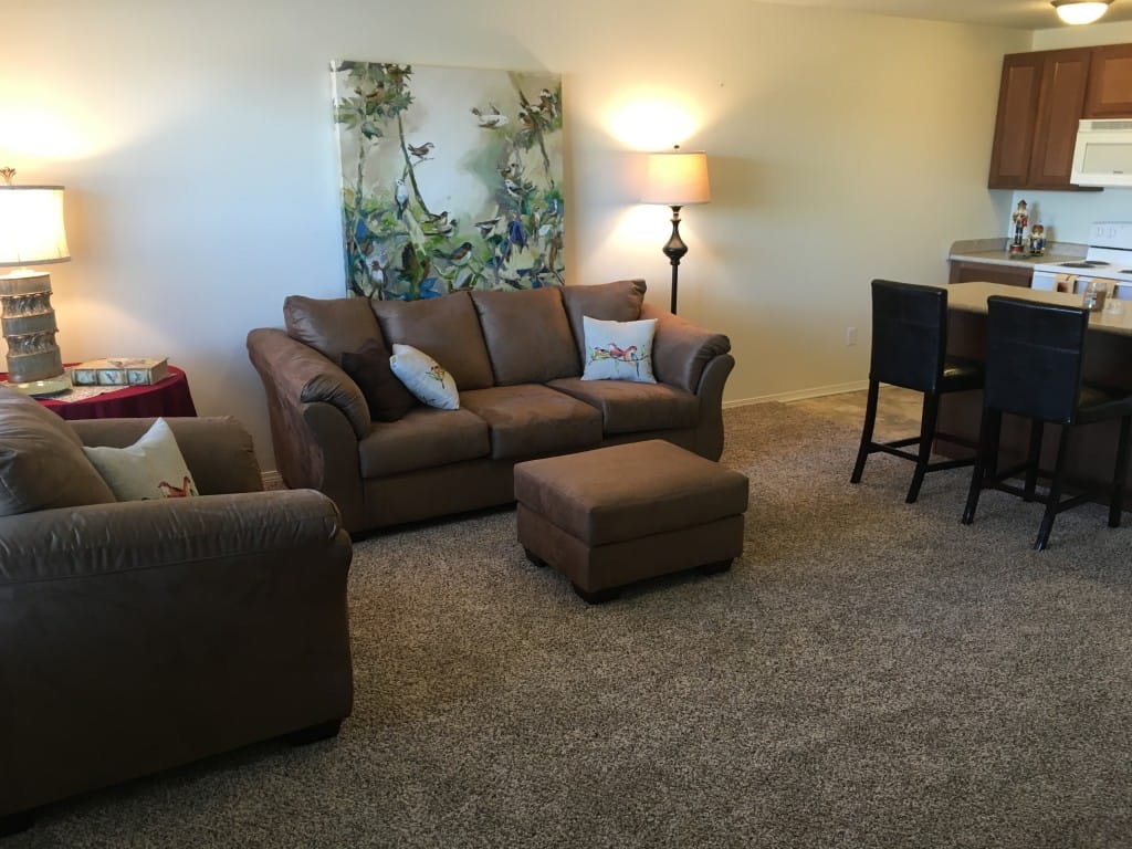 Cozy living room with brown couches and a kitchenette