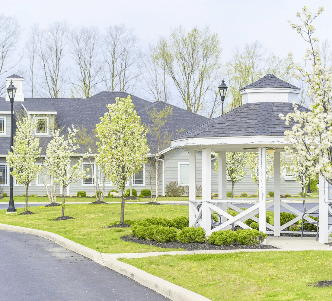Outdoor gazebo surrounded by flowering trees