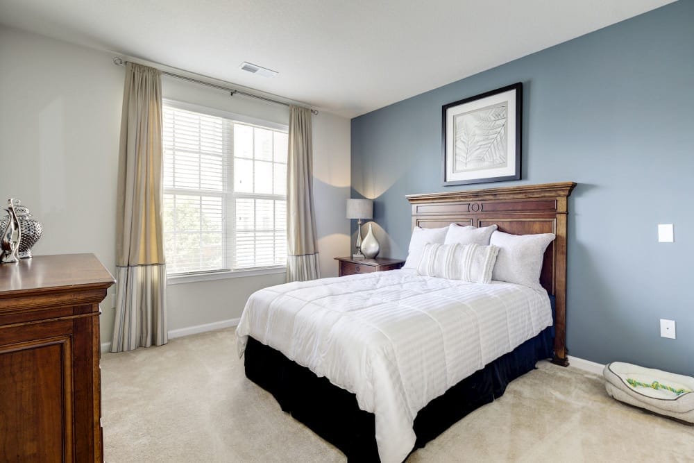 Cozy, well-furnished bedroom with natural light.