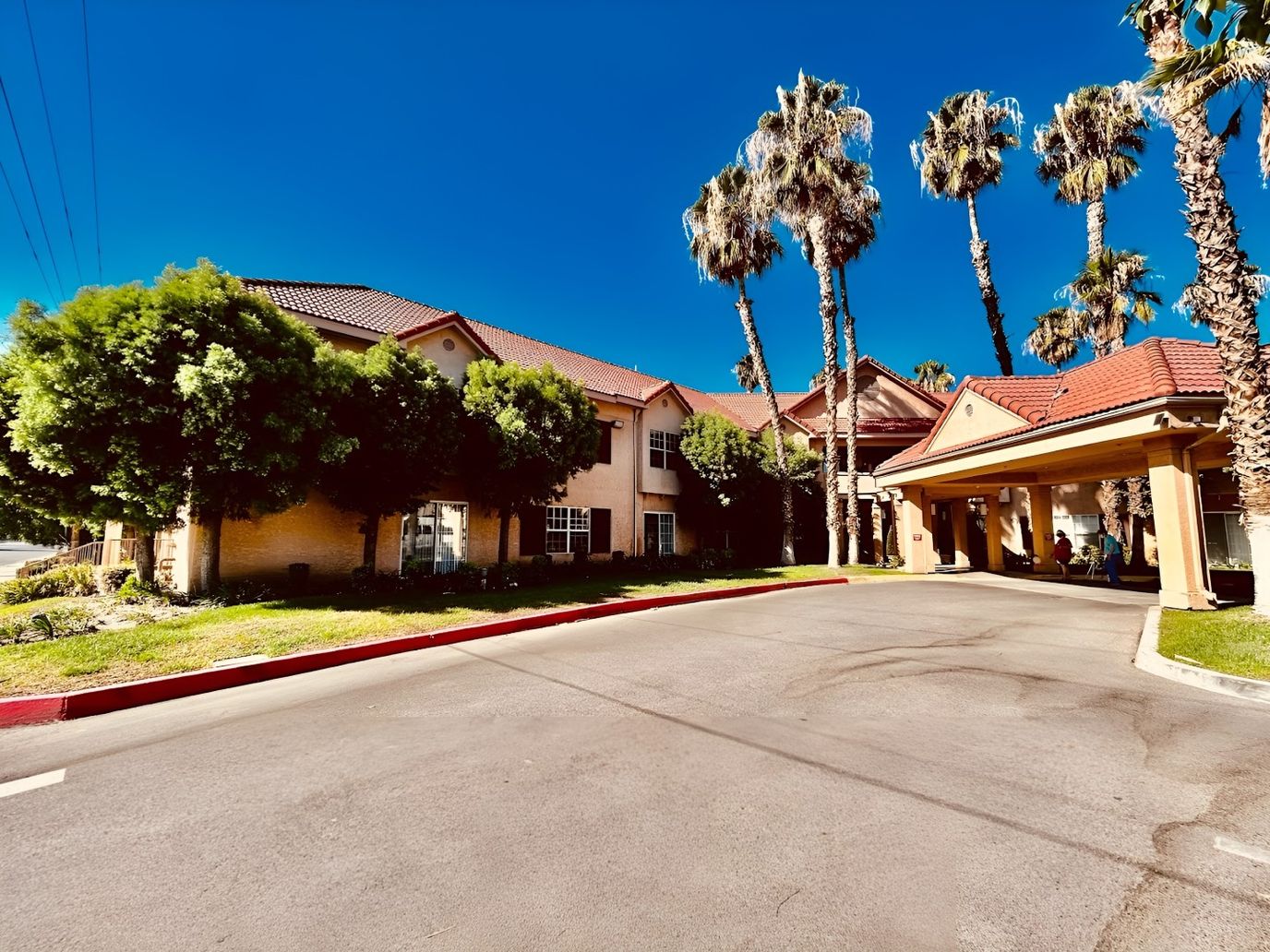 Exterior view of a senior living facility with palm trees