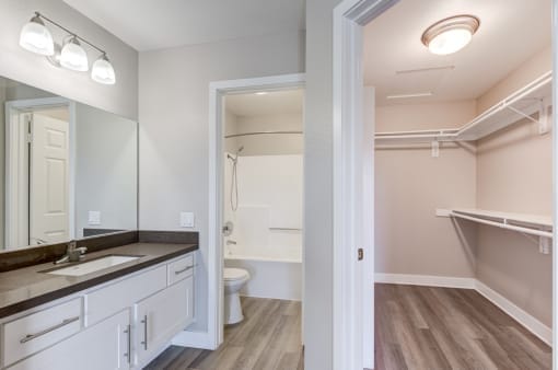 Modern bathroom with vanity and closet space.