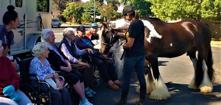 Residents interacting with a horse outdoors.