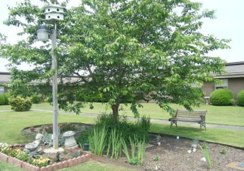 Outdoor space with trees and benches.