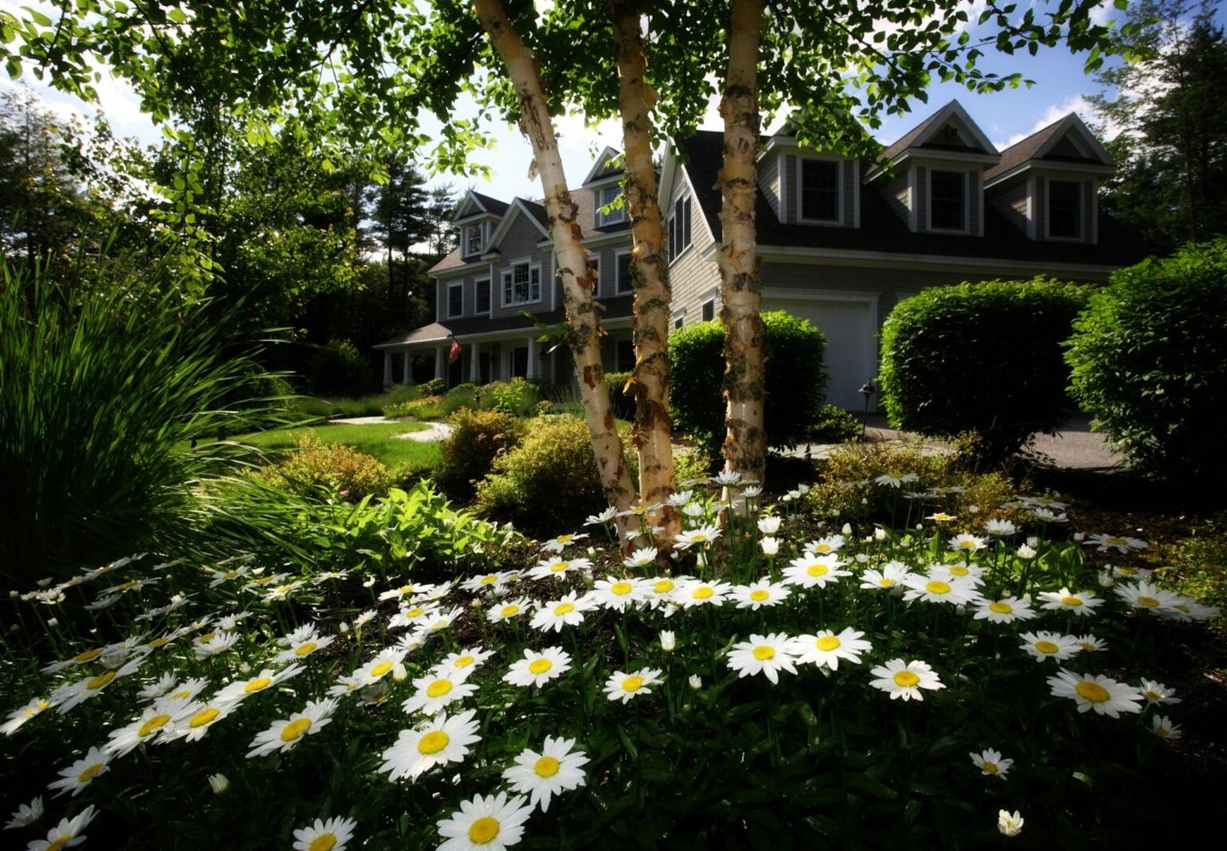 Beautiful garden with flowers and a residence in background