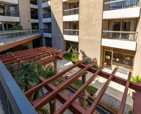 View of a courtyard with green vegetation