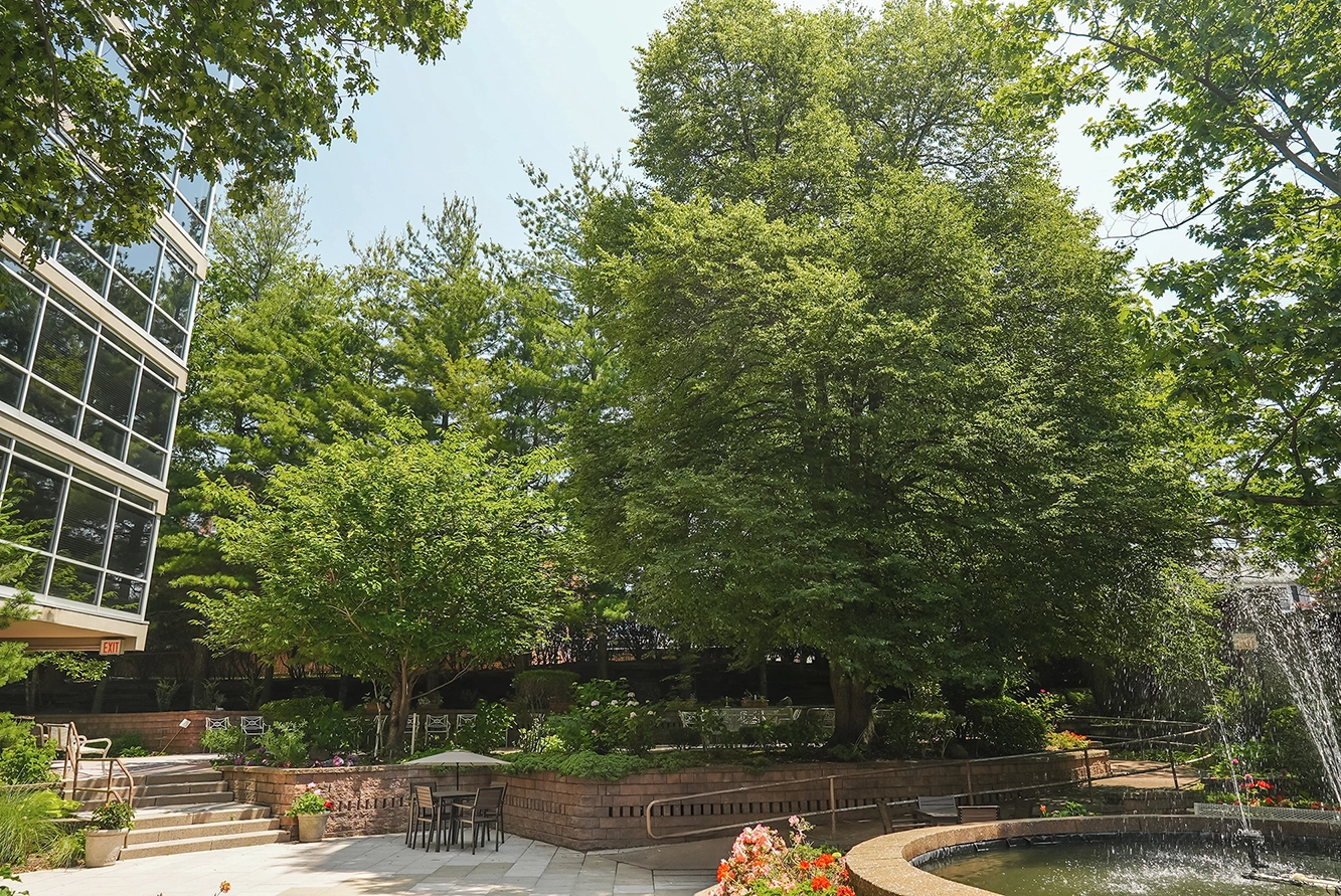 View of gardens and outdoor space at the facility