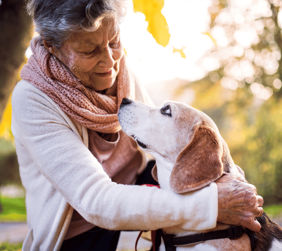 Senior woman interacting with a dog outdoors