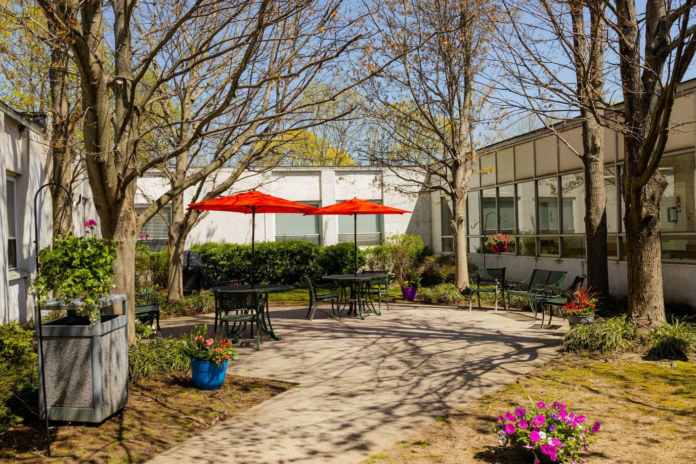 A bright outdoor space with seating and trees