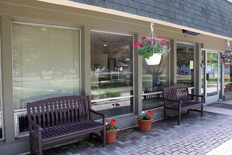 Outdoor seating area with flower pots and benches