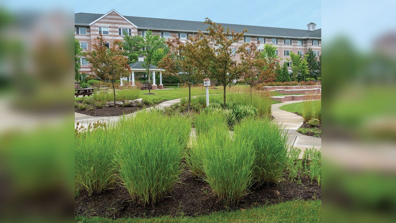 Outdoor landscaped area with garden and pathways