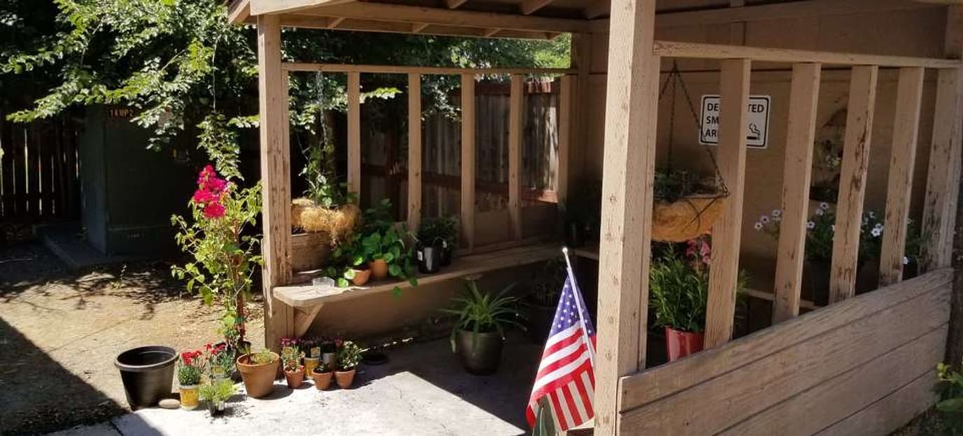 Outdoor garden area with plants and American flag