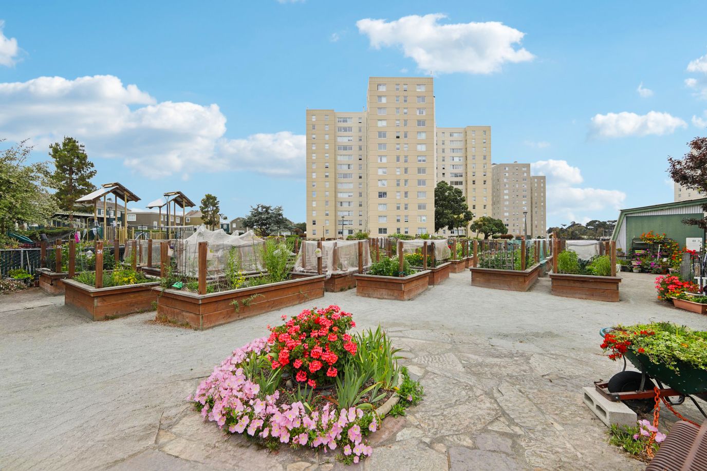 Outdoor garden space with flowering plants and building in background
