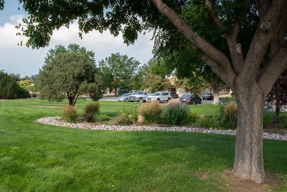 Well-maintained outdoor space with trees and lawn