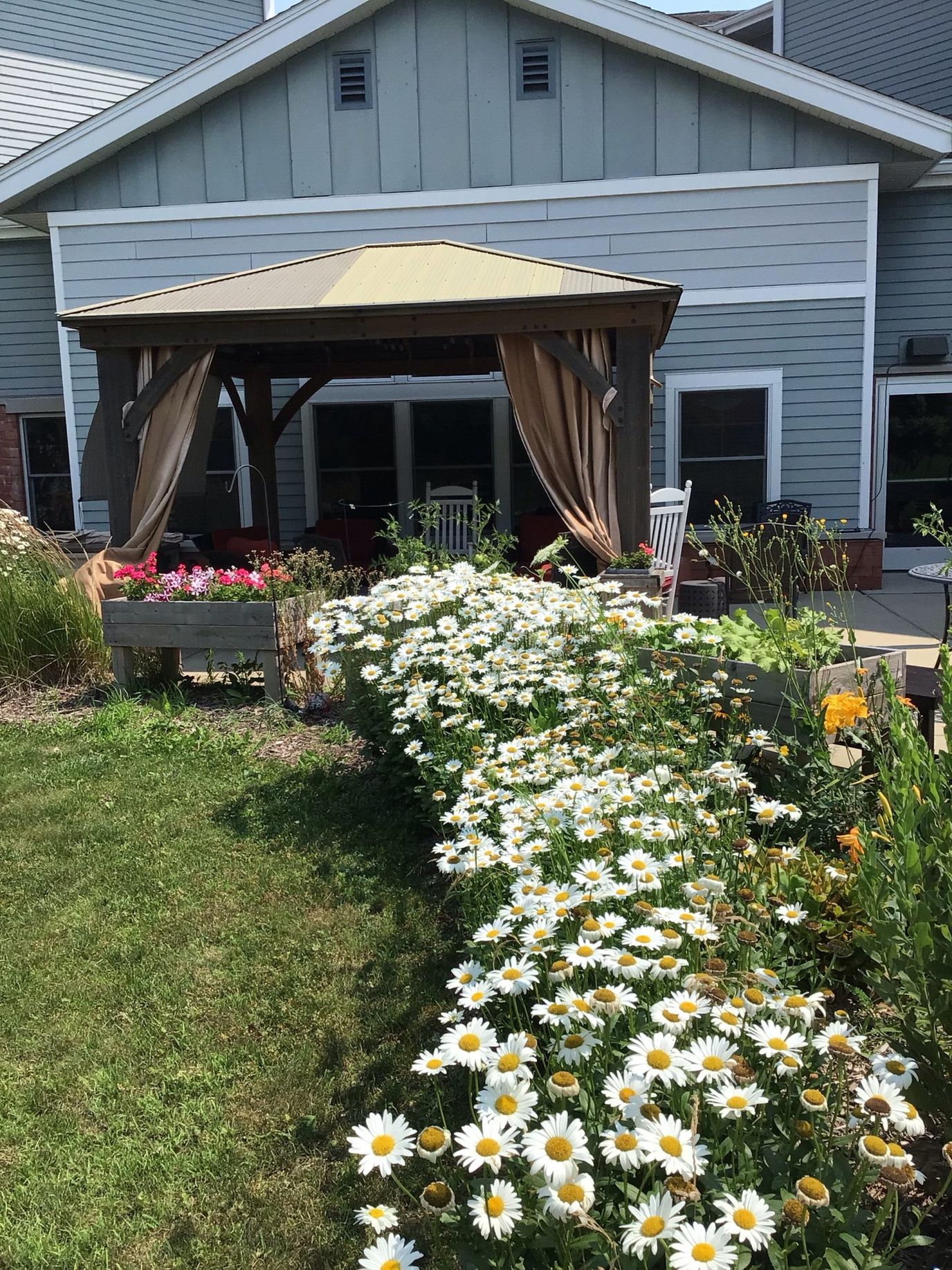 Outdoor seating area with flowers and a canopy