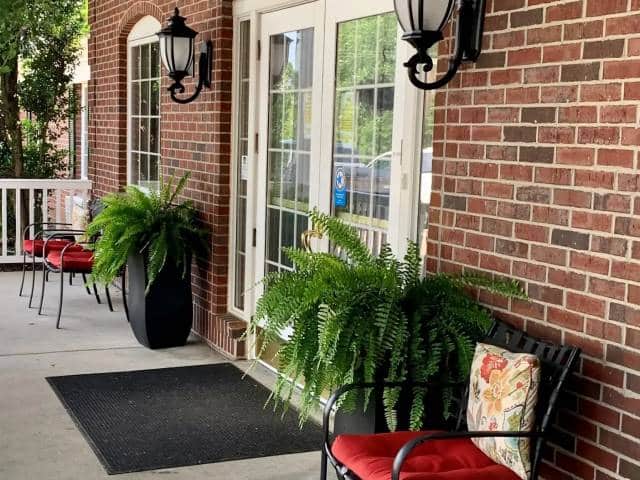 Exterior seating area with ferns at Stilley House