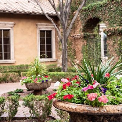 Well-maintained outdoor garden with colorful flowers.