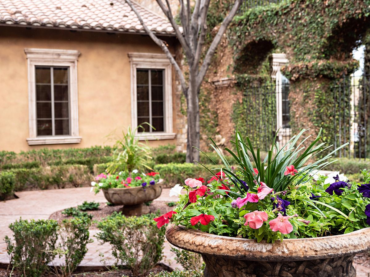 Colorful flower pots in a landscaped courtyard