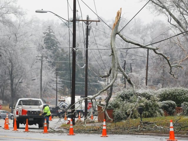 Regency at Jackson, Nursing Home in Jackson, MI — Tree branch down on a street with cones