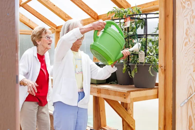 Residents gardening and enjoying plant care activities
