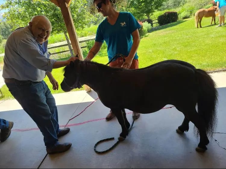 Residents interacting with a miniature pony outdoors