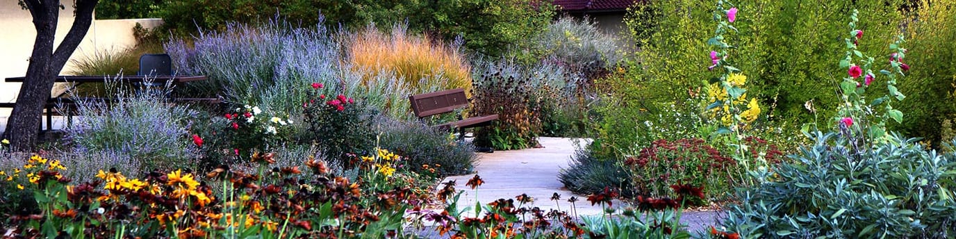 Lively garden area with various flowers and benches.