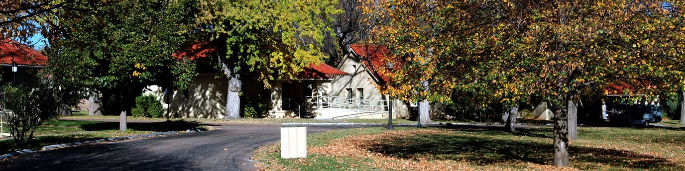 Exterior view of the facility surrounded by trees