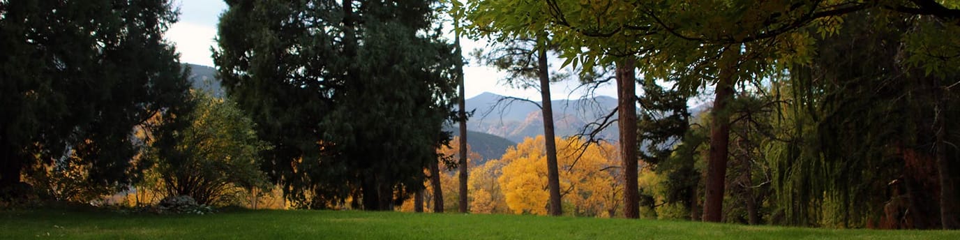 Lush outdoor space with trees and mountains