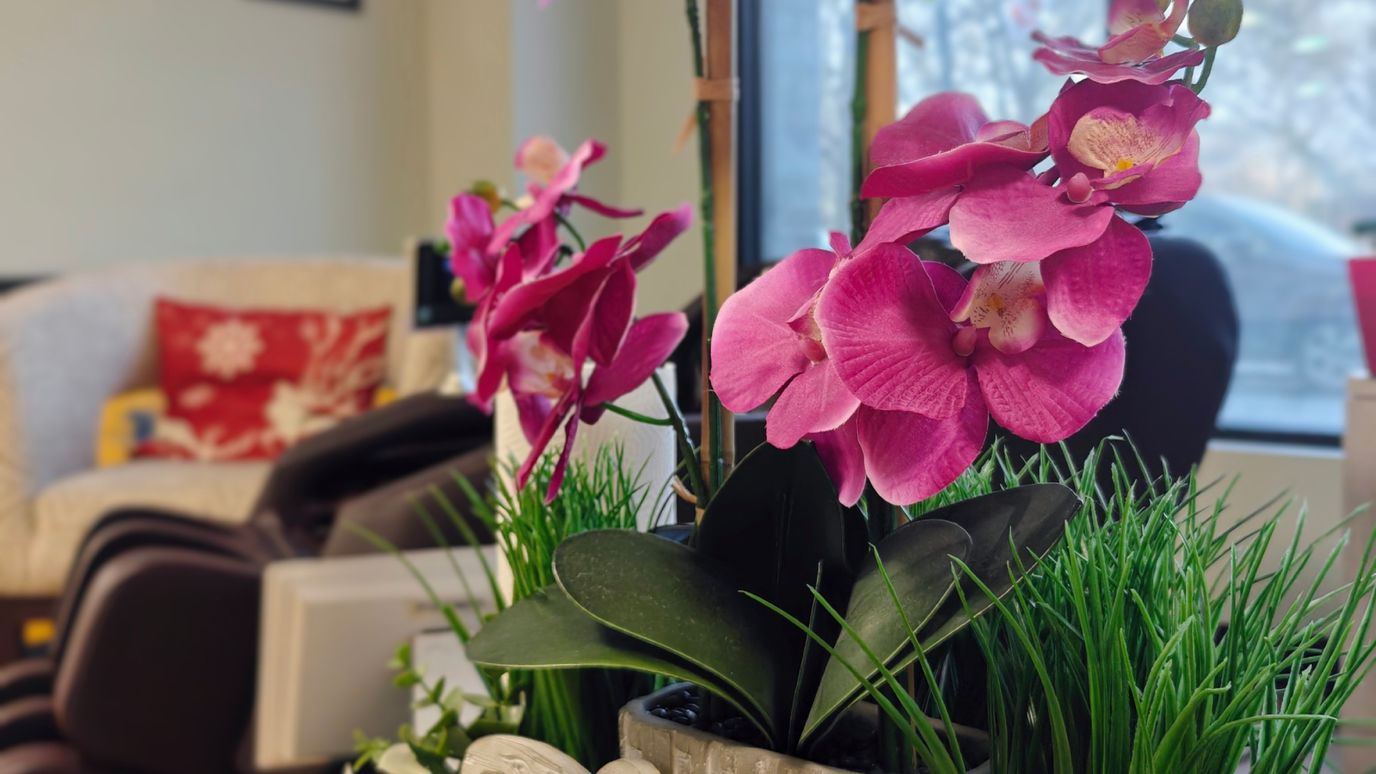 Orchids displayed in a common area of the facility