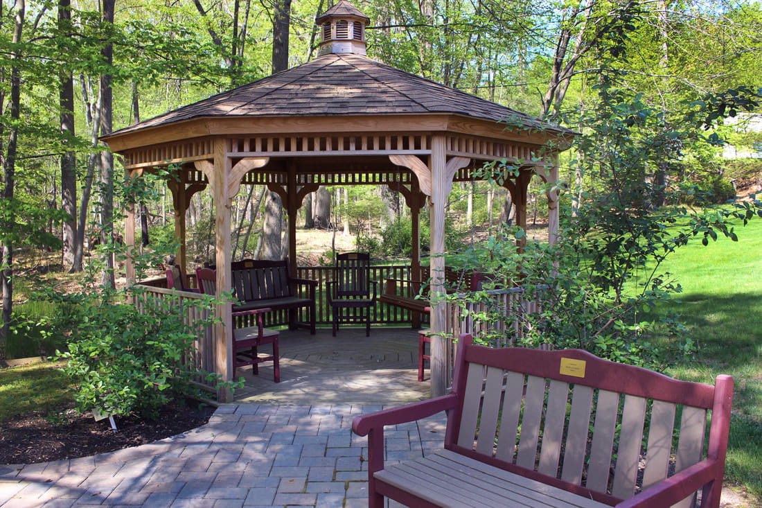 Wooden gazebo surrounded by greenery