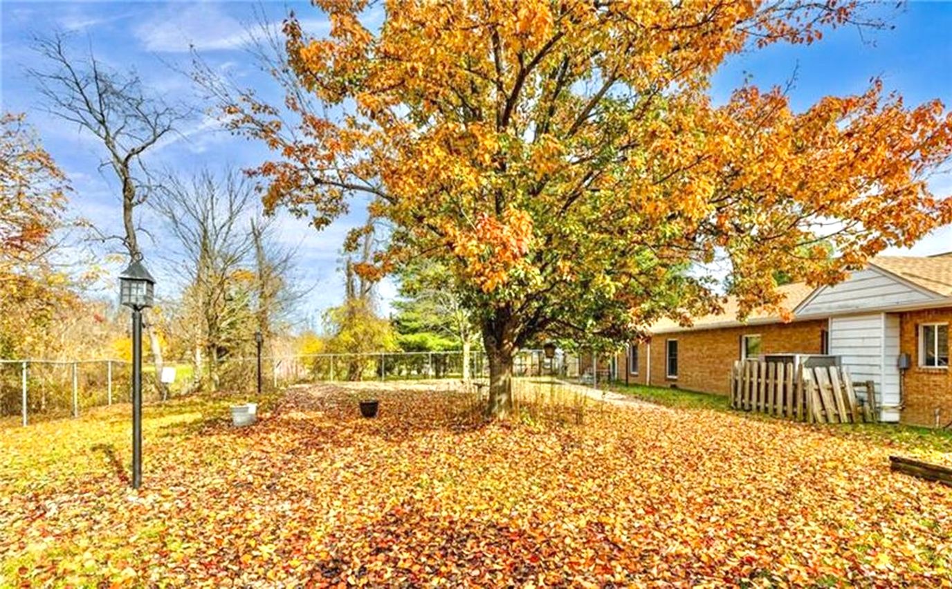 A vibrant outdoor space with colorful autumn leaves