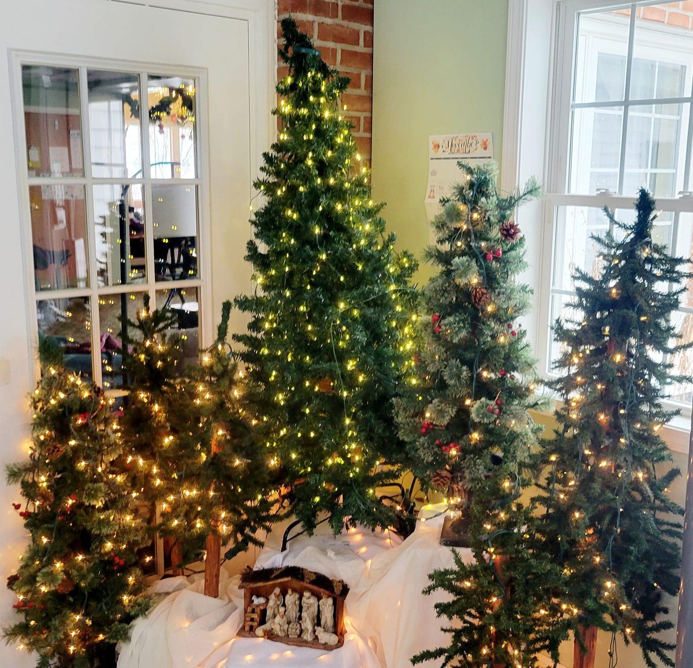 Decorated Christmas trees in a cozy common area