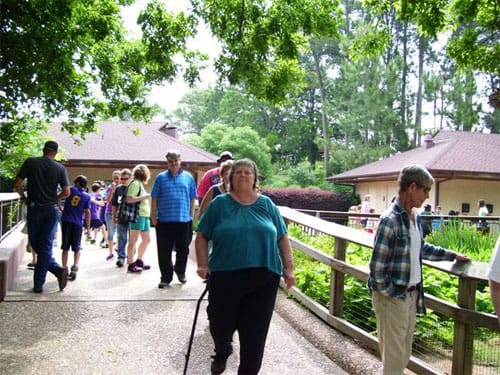 Residents walking in a garden area outside
