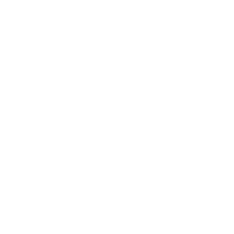 Savor logo on a white background