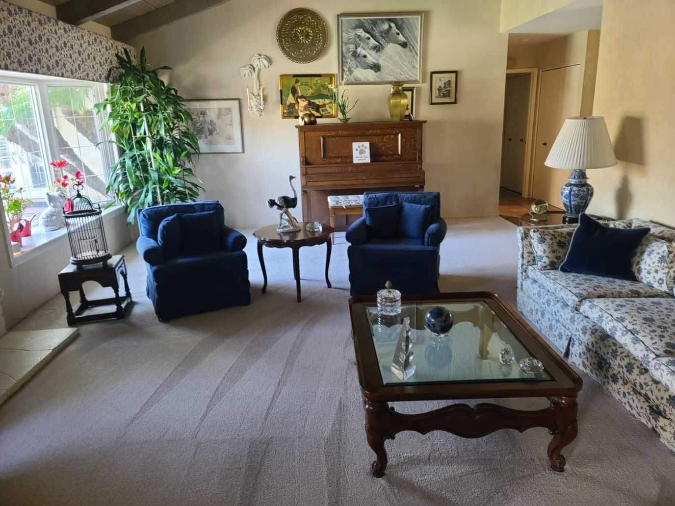 Cozy common area with furniture and potted plants