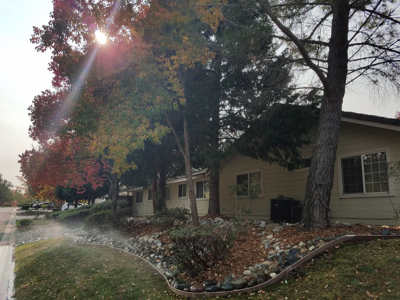 Oak Hill Senior Care