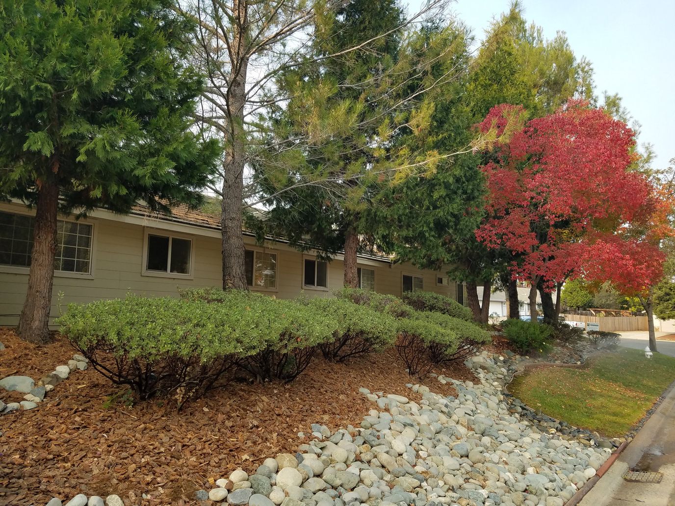 Oak Hill Senior Care