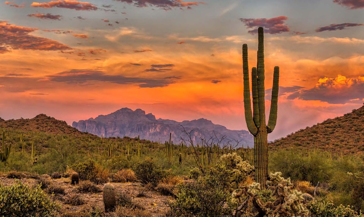 Beautiful desert landscape at sunset