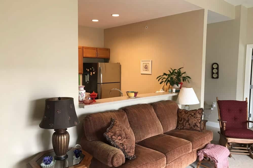 Comfortable living room with a sofa, lamp, and plant