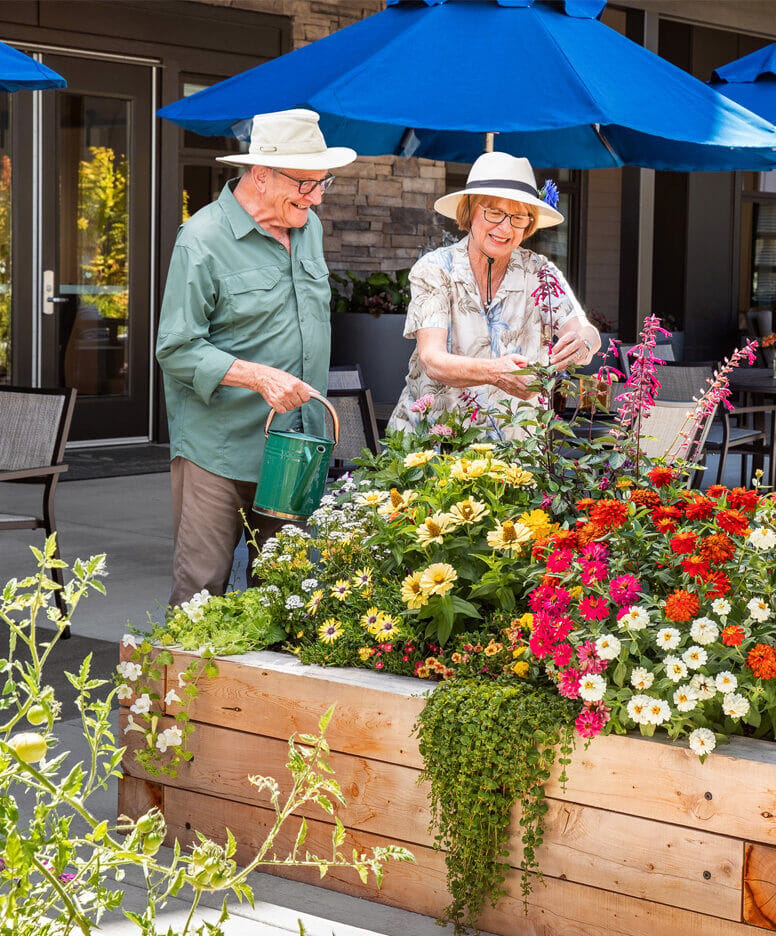 Residents gardening in a colorful outdoor space