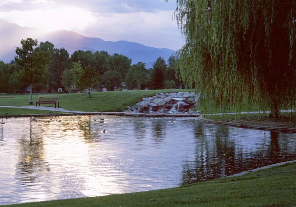 Serene pond view with mountains and trees in the background