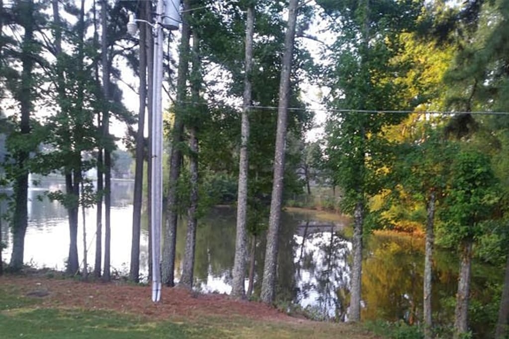View of the lake surrounded by trees at The Greenbriar on Stagecoach.