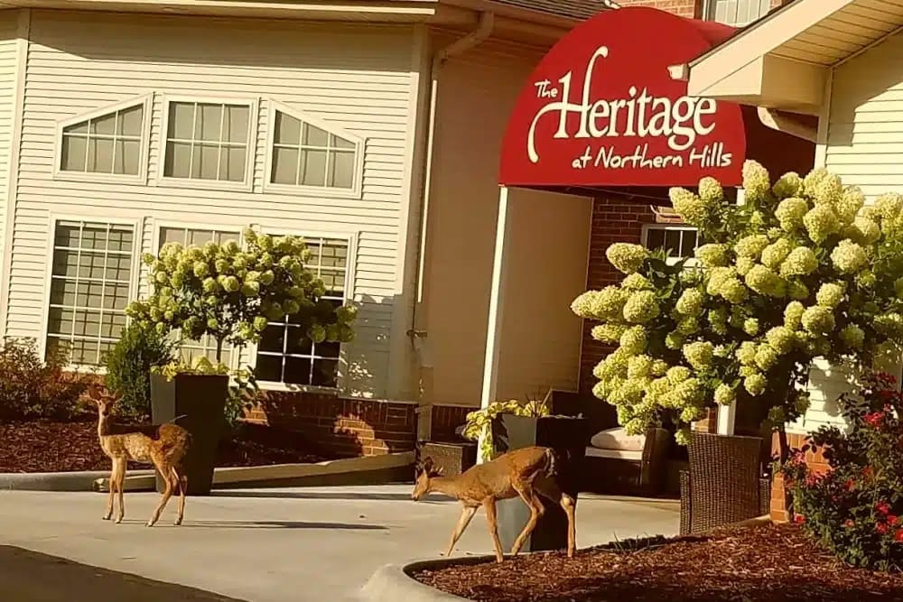 Two deer in front of The Heritage at Northern Hills entrance with floral arrangements.