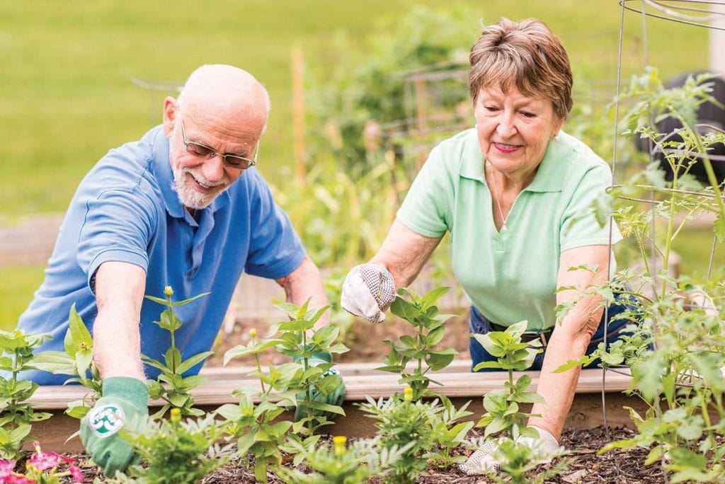 Two seniors gardening together in a community garden
