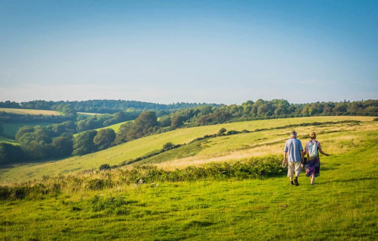 Two people walking in a green outdoor space
