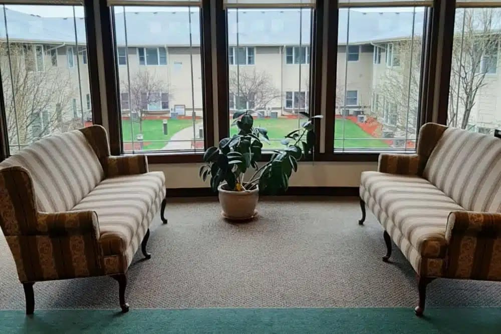 Seating area with two striped sofas and a potted plant near large windows
