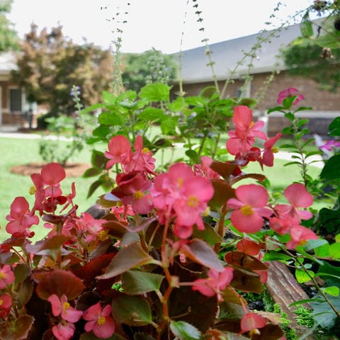 Oak Hill Assisted Living Community