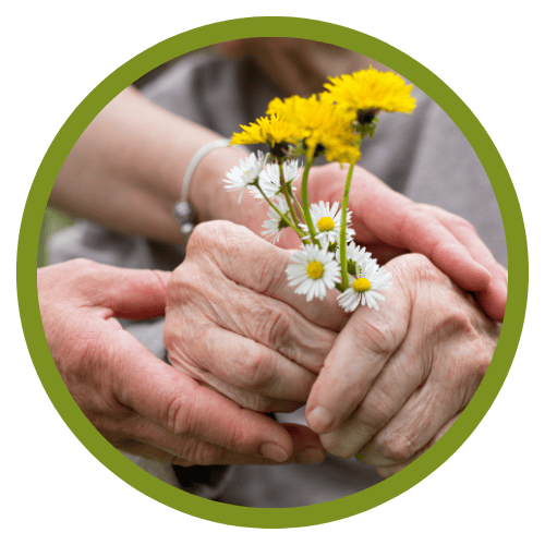 Two hands holding flowers together