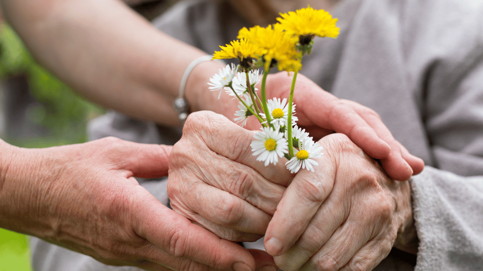 Two hands holding flowers together.