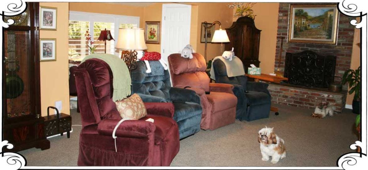 Comfortable living room with recliners and two small dogs