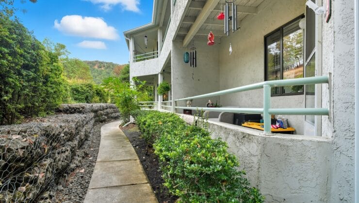 Outdoor path with plants and building siding
